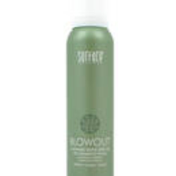 Blowout Dry Shampoo Foam 4oz